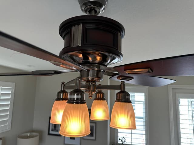 Ceiling fan